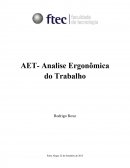 Uma Analise Ergonômica do Trabalho