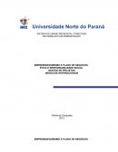 EMPREENDEDORISMO E PLANOS DE NEGÓCIOS