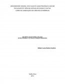 UMA BREVE ANÁLISE SOBRE A RELAÇÃO ENTRE ECONOMIA E CULTURA NA FORMAÇÃO BRASILEIRA