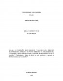 A EVOLUÇÃO DOS DIREITOS FUNDAMENTAIS: DIREITOS ECONÔMICOS E SOCIAIS E OS NOVOS DIREITOS DA SOLIDARIEDADE