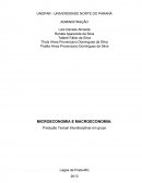 MICROECONOMIA E MACROECONOMIA: Produção Textual Interdisciplinar em grupo