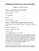 CAPÍTULO II - IDENTIFICAÇÃO DA UNIDADE CONCEDENTE DO ESTÁGIO