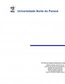 PORTFOLIO 4 SEMESTRE ADM