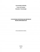 COCCIDIOSES INTESTINAIS EM INDIVÍDUOS IMUNOCOMPROMETIDOS