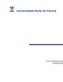 Trabalho individual 4° Semestre Unopar