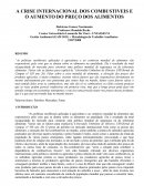 A CRISE INTERNACIONAL DOS COMBUSTIVEIS E O AUMENTO DO PREÇO DOS ALIMENTOS