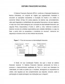 Sistema Financeiro Nacional