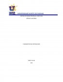 Fundamentos da contabilidade