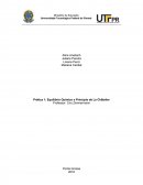 Relatório de Química Inorgânica Prática - Equilíbrio Químico e Princípio de Le Châtelier