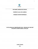 PATOLOGIAS NA CONSTRUÇÃO CIVIL: ESTUDO DE CASO EM CONJUNTO HABITACIONAL POPULAR