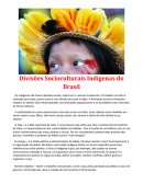 Divisões socioculturais indígenas do Brasil