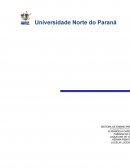 Administrar empresa envolve a elaboração de planos, pareceres, relatórios, projetos