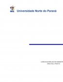 TRabalho Individual semestre adminsitração unopar