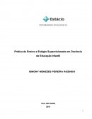 Prática de Ensino e Estágio Supervisionado em Docência de Educação Infantil