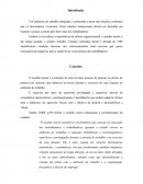 Um Ambiente de Trabalho Adequado é Construído a Partir das Relações Cotidianas que os Funcionários Vivenciam