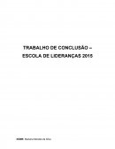 TRABALHO DE CONCLUSÃO – ESCOLA DE LIDERANÇAS 2015