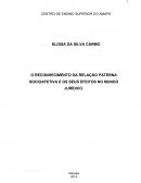 O RECONHECIMENTO DA RELAÇÃO PATERNA SOCIOAFETIVA E OS SEUS EFEITOS NO MUNDO JURÍDICO.