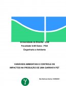 VARIÁVEIS AMBIENTAIS E CONTROLE DE IMPACTOS NA PRODUÇÃO DE UMA GARRAFA PET