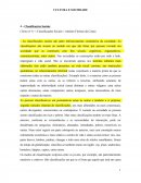 Classificações Sociais Resumo Antonio Firmino da Costa