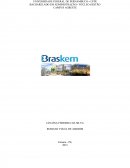 Empresa braken