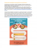 Copenhagen e Pontos Positivos do uso da Bicicleta