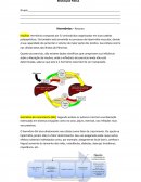 Resumo de Hormônios (Principais na Hipertrofia)