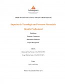 Desafio Profissional