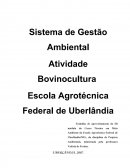 Projeto Gestão Ambiental