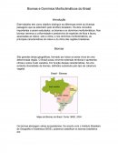 Biomas e Domínios morfoclimáticos