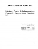 Estrutura e Analise de Balanços na área Comercial – Empresa Makro Atacadista S.A