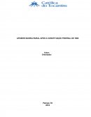 APOSENTADORIA RURAL APÓS A CONSTITUIÇÃO DE 1988