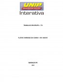 O Brasil é “Um Brasil de Brasis”