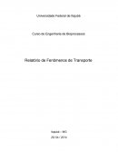 Relatório de Fenômenos de Transporte