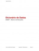 Dicionário de Dados