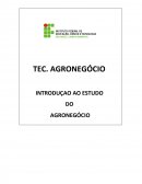 INTRODUÇAO AO ESTUDO DO AGRONEGÓCIO INTRODUÇAO AO ESTUDO DO AGRONEGÓCIO