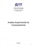 Análise Experimental do Comportamento