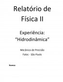 Relatorio hidrodinamica