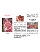 Açougue Características Principais das Carnes