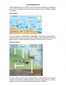 Os Ciclos Biogeoquímicos