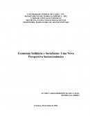 Economia Solidária e Socialismo: Uma Nova Perspectiva Socioeconômica