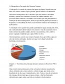 A hidrografia na prevenção dos desastres naturais