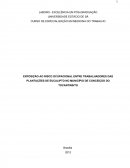 EXPOSIÇÃO AO RISCO OCUPACIONAL ENTRE TRABALHADORES DAS PLANTAÇÕES DE EUCALIPTO NO MUNICÍPIO DE CONCEIÇÃO DO TOCANTINS/TO