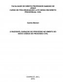 Monografia Novo CPC