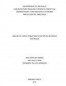 ANÁLISE DA CARGA TRIBUTÁRIA NO SETOR DE MATERIAIS ELÉTRICOS