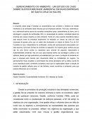 GERENCIAMENTO DO AMBIENTE - UM ESTUDO DE CASO SOBRE SUSTENTABILIDADE AMBIENTAL EM DUAS EMPRESAS