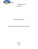 Resenha Crítica: História das Politicas de Saúde no Brasil