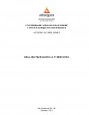 Atividade Desafio Profissional Apresentada Como Requisito de Avaliação na Disciplina de Matemática e Processos Gerenciais