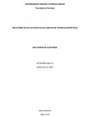 RELATÓRIO DE AULAS PRÁTICAS DA DISCIPLINA TÉCNICAS DIETÉTICAS