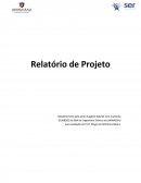 O Relatório de Projeto