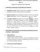 HIPÓTESES DE TRAMITAÇÃO DE PROCESSOS NOS TRIBUNAIS